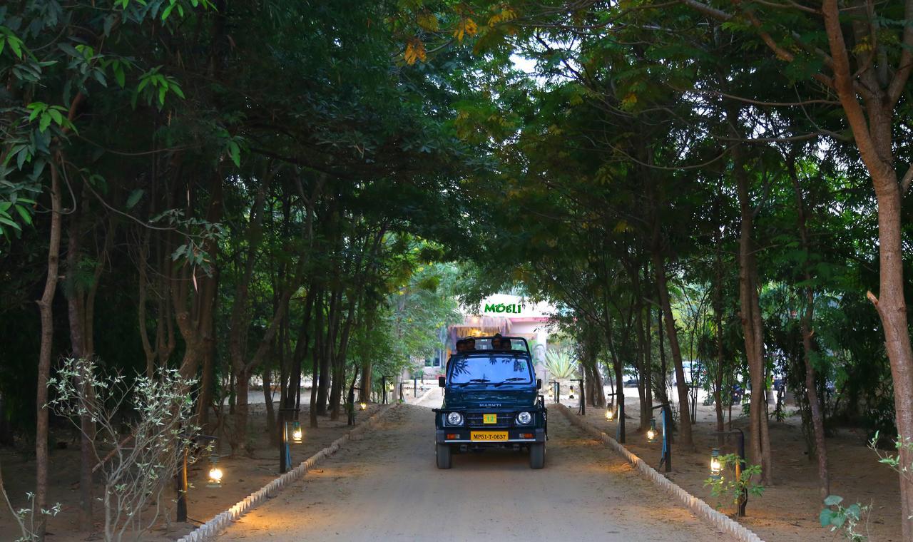 Mogli Resort Kanha Ngoại thất bức ảnh