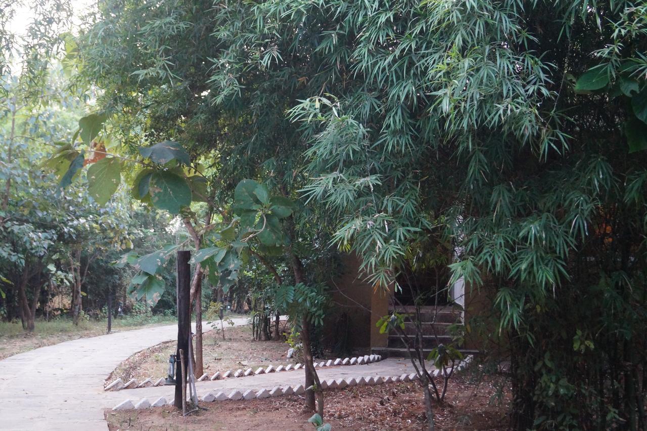 Mogli Resort Kanha Ngoại thất bức ảnh